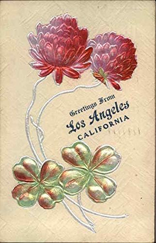 פרחים ושמעים לוס אנג'לס, קליפורניה CA גלויה עתיקה מקורית 1909